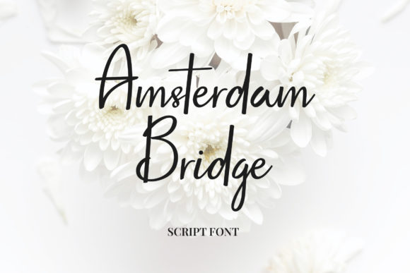 Amsterdam Bridge Script Font for Elegant Branding