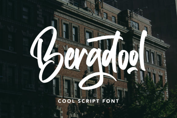 Bergdool: A Modern Script Font for Branding That Feels Human