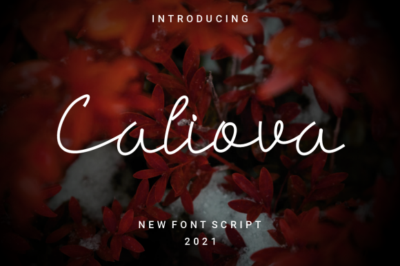 Caliova: A Thin and Delicate Script Font for Standout Campaigns