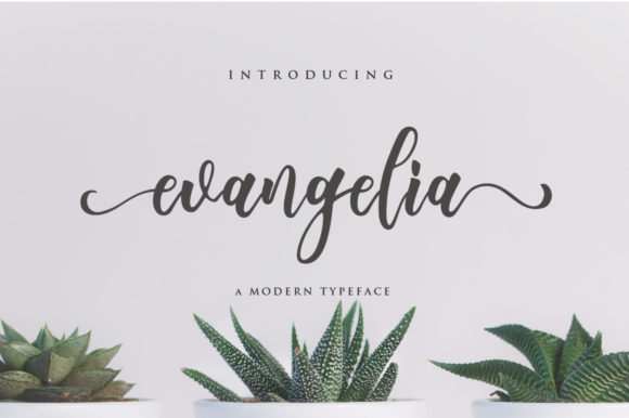 Evangelia: A Romantic Script Handwritten Font for Small Business Branding