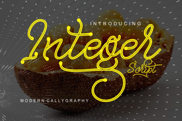 Integer: A Modern Script Handwritten Font for Digital Design