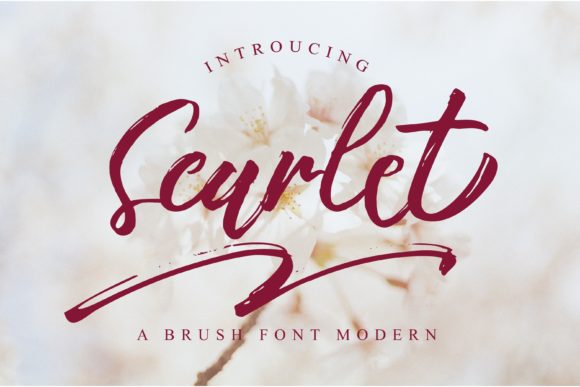 Scarlet Font: A Quirky Script Handwritten Typeface for Campaign Graphics