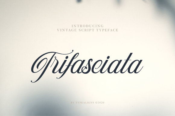 Trifasciata: A Script Handwritten Font for Thoughtful Editorial Design